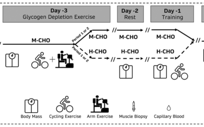 ¿Podría la ‘descarga’ de carbohidratos ayudar a mejorar el rendimiento en bicicleta?