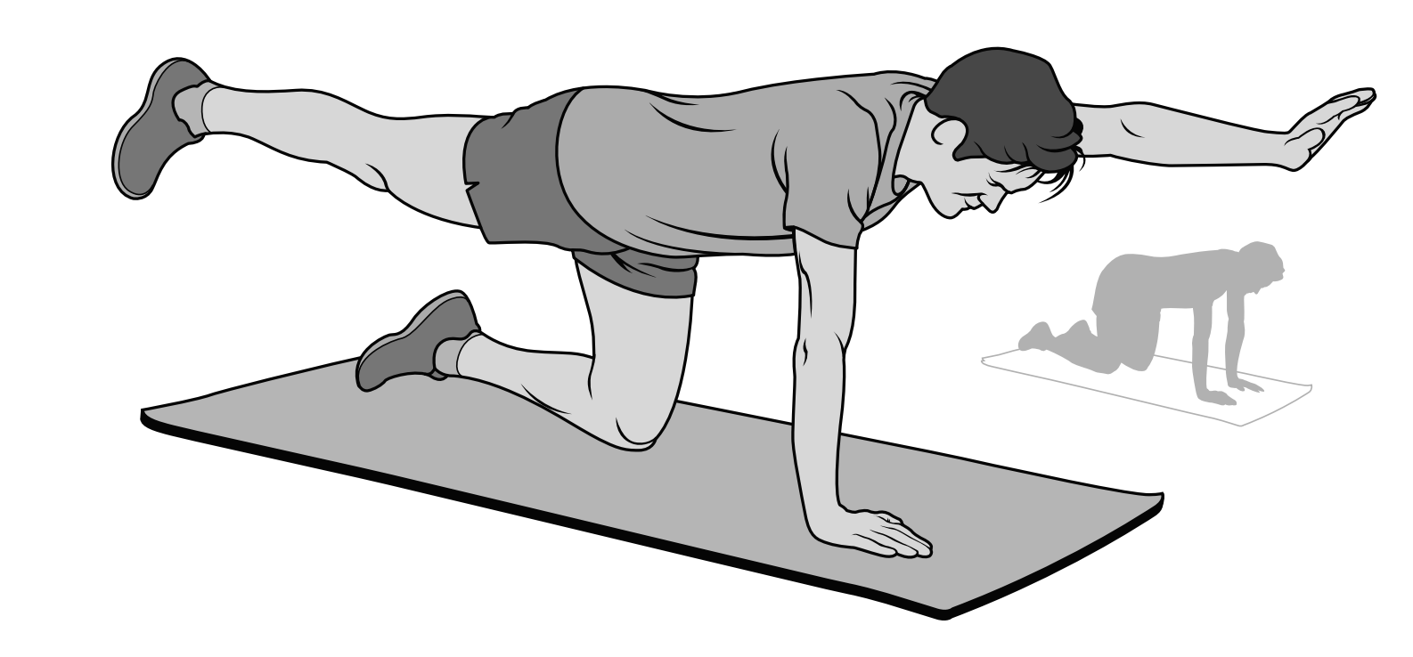 Llegando al núcleo Bird dog core exercise illustration